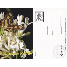 2006-EP-16 CUBA 2006 POSTAL STATIONERY MOTHER DAY SPECIAL DELIVERY BUTTERFLIES MARIPOSAS FLOWERS FLORES UNUSED.