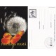 2006-EP-10 CUBA 2006 POSTAL STATIONERY MOTHER DAY SPECIAL DELIVERY BUTTERFLIES MARIPOSAS FLOWERS FLORES UNUSED.
